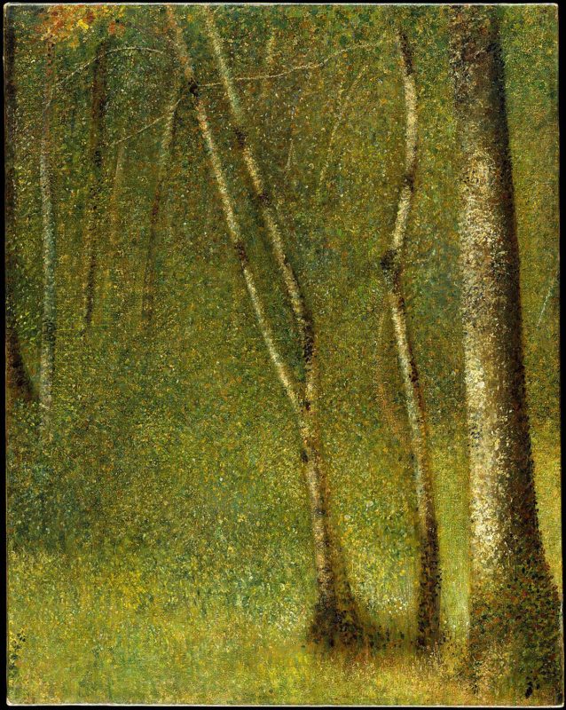 Georges Seurat_The Forest at Pontaubert_1881